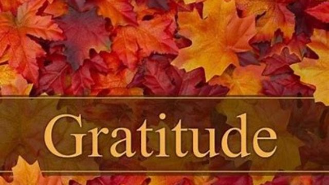 gratitude gratitude